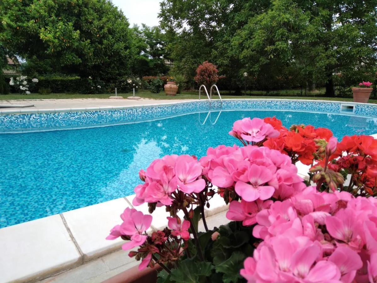Agriturismo Le Chicche Di Mafalda Монтемерано Экстерьер фото